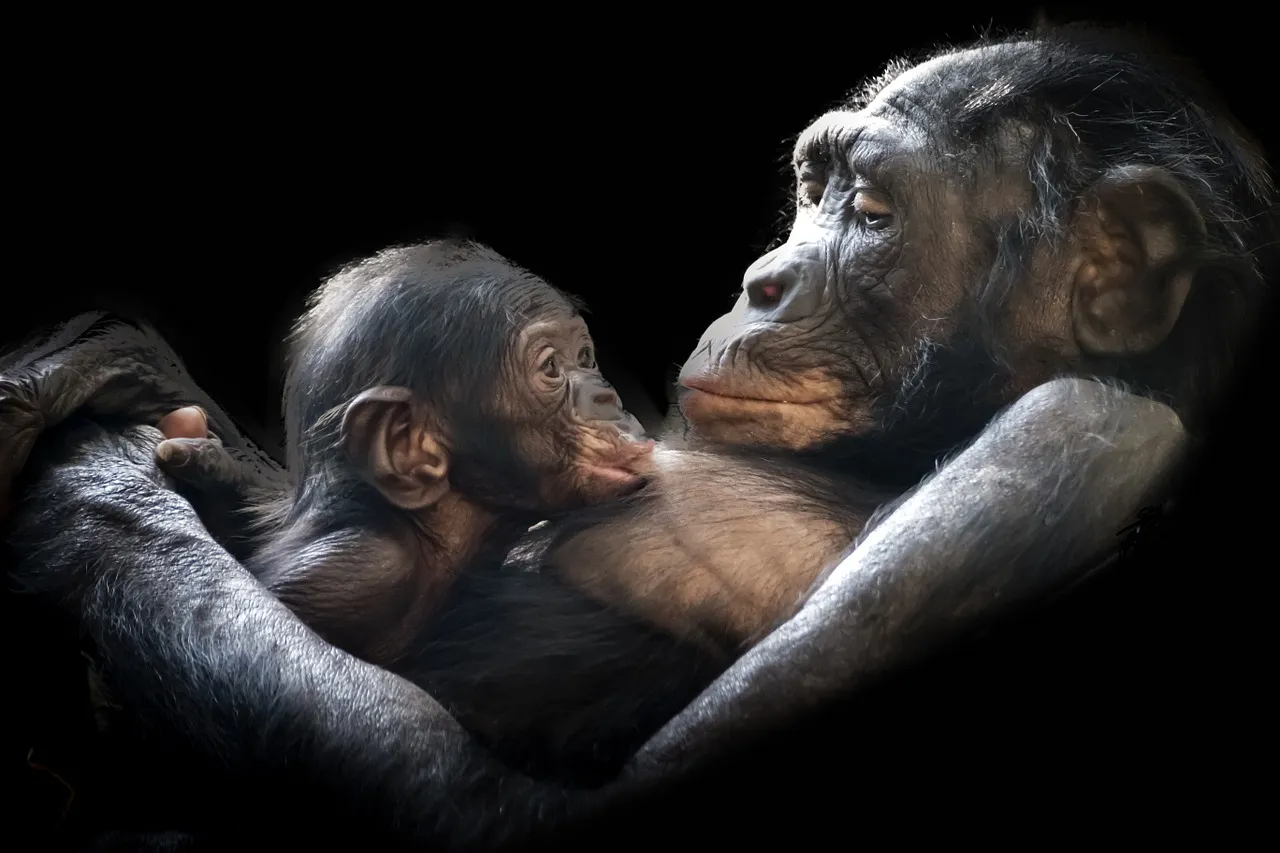 animals-1097143_1280.jpg