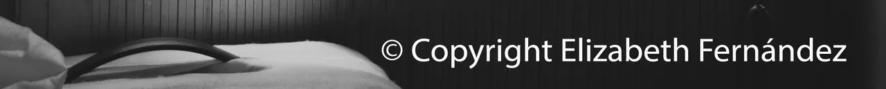 _DSC0713 separador.jpg