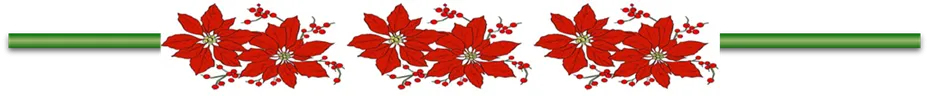 Botanica navideña 3.png