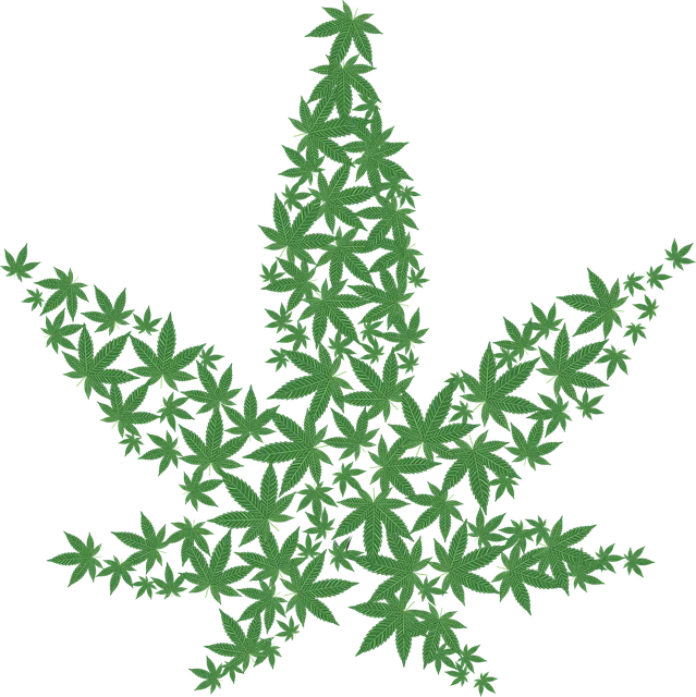 cannabis-2125586_640.png