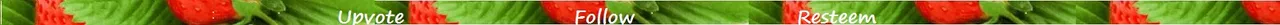 banner UPVOTE FOLLOW.jpg