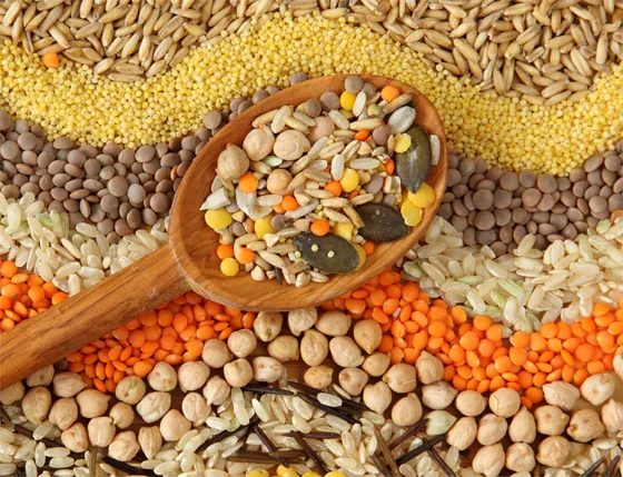 Legumbres-y-cereales.jpg