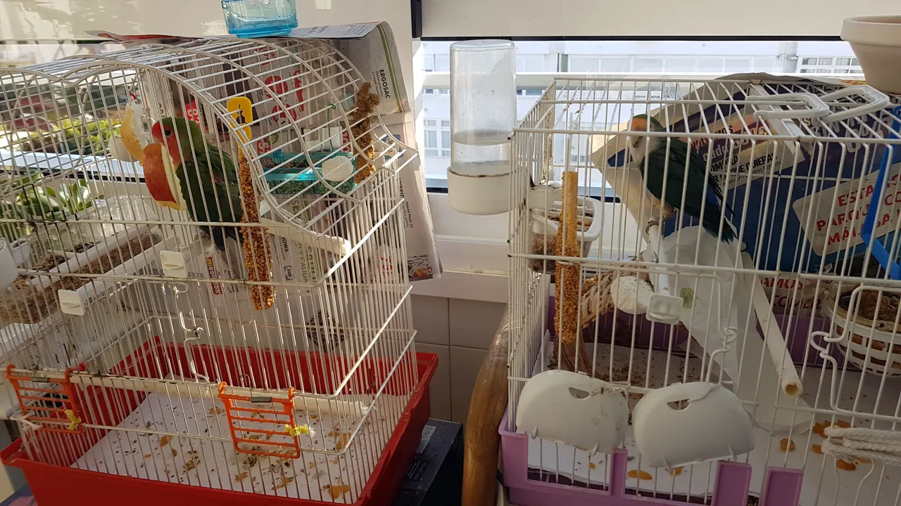 IMG-20190209-WA0022.jpeg