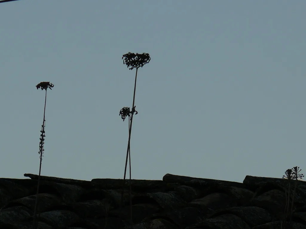 P1230301_zps1ea1b6ad.jpg