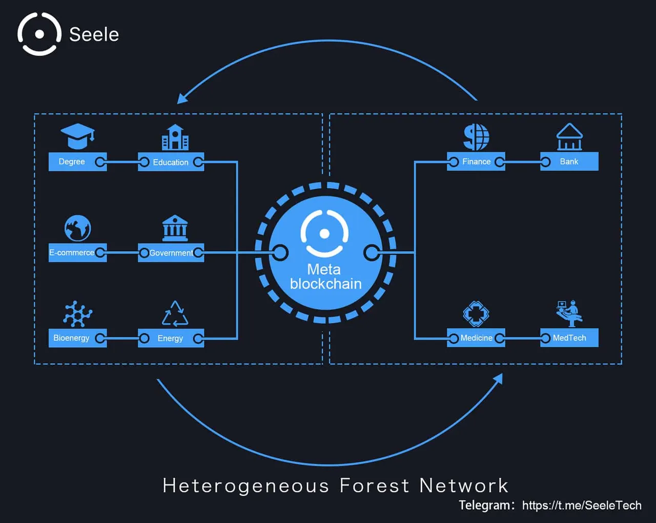 Seele-Forest-network.jpg