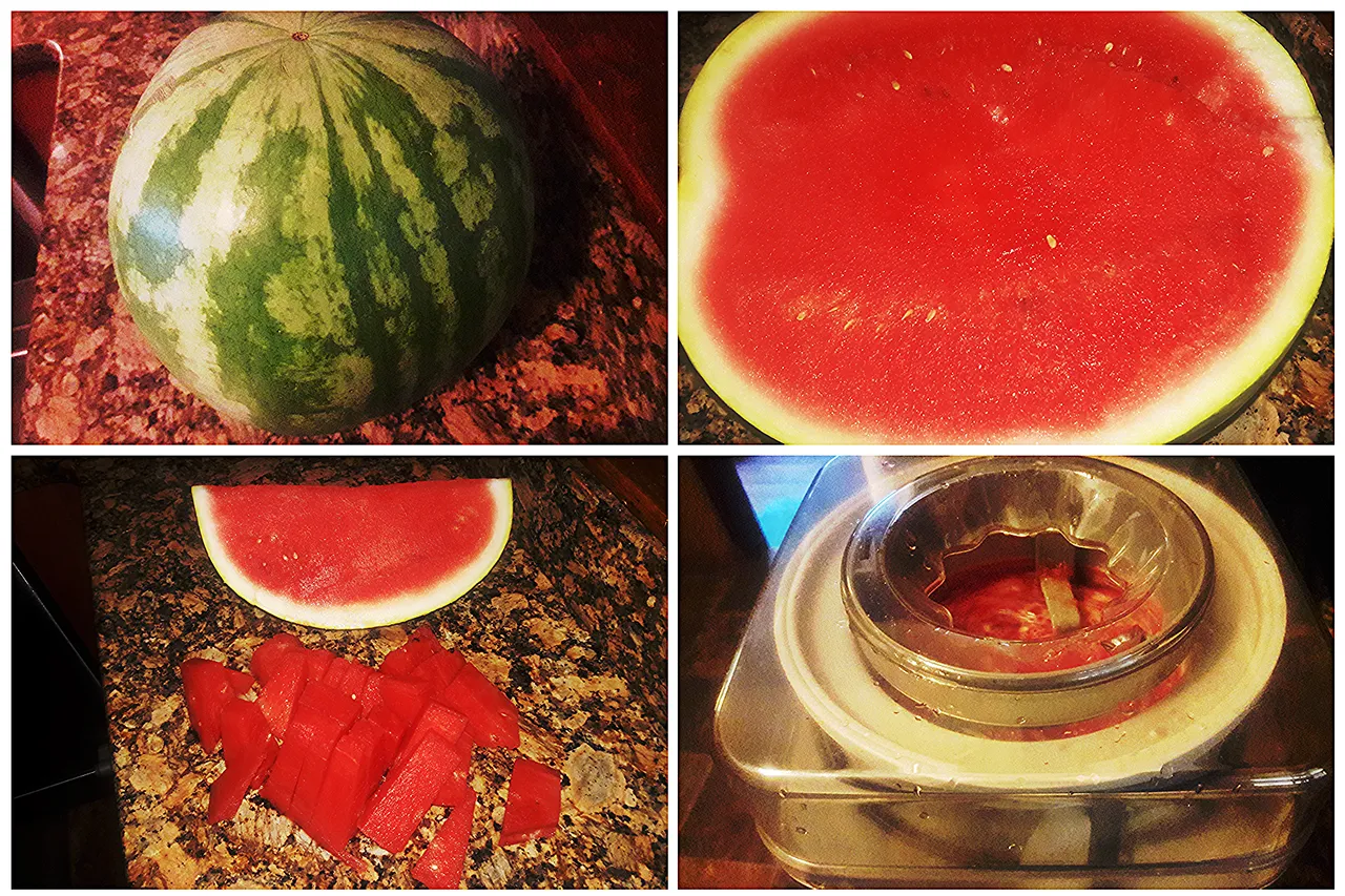 watermelon collage.png