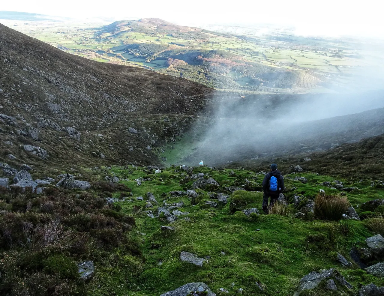 Comeragh mountians.jpg