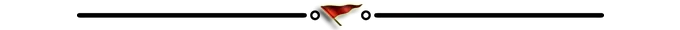 steemlinedividerflag.png