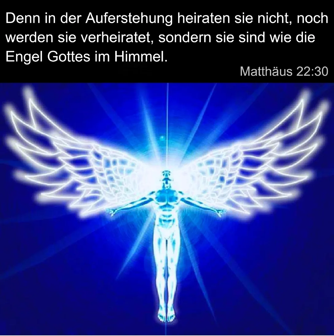 Matthäus 2230.jpg