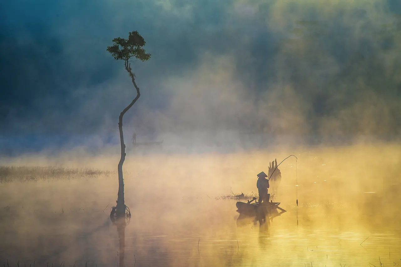 morning-4411420_1280.jpg