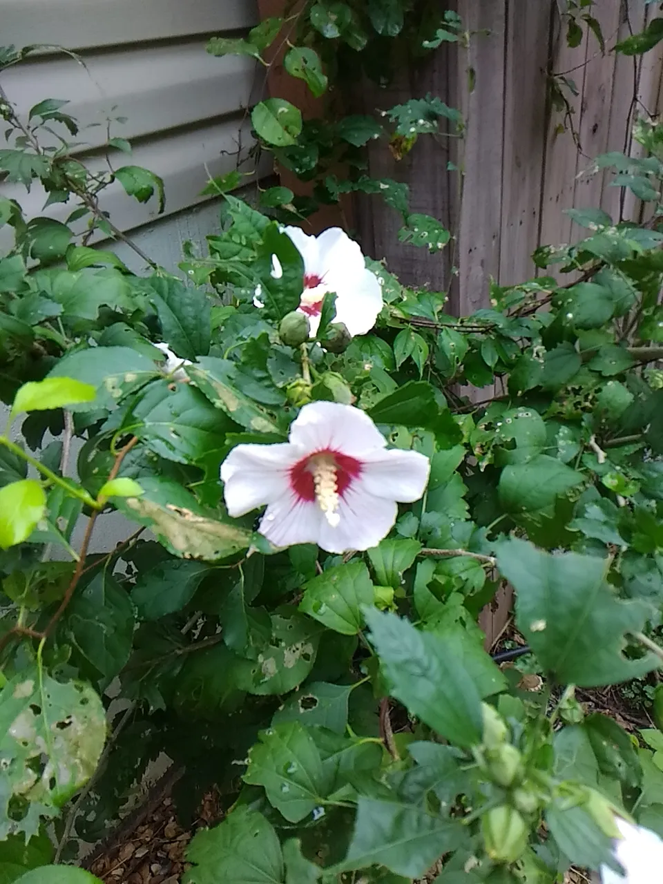 P_20190901_112403_LL.jpg