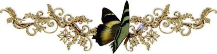 separador mariposa.jpg