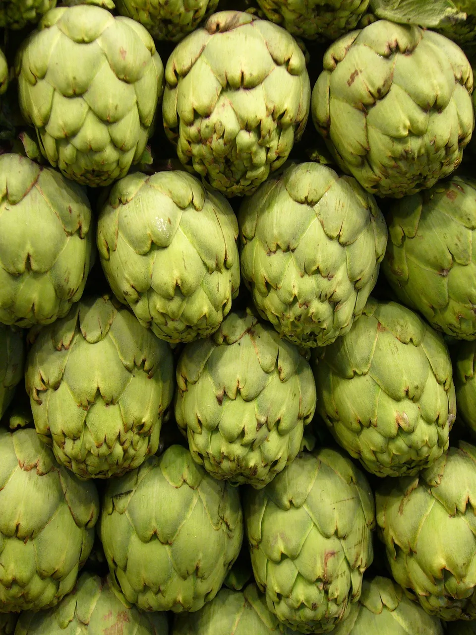 artichokes-4784_1920.jpg