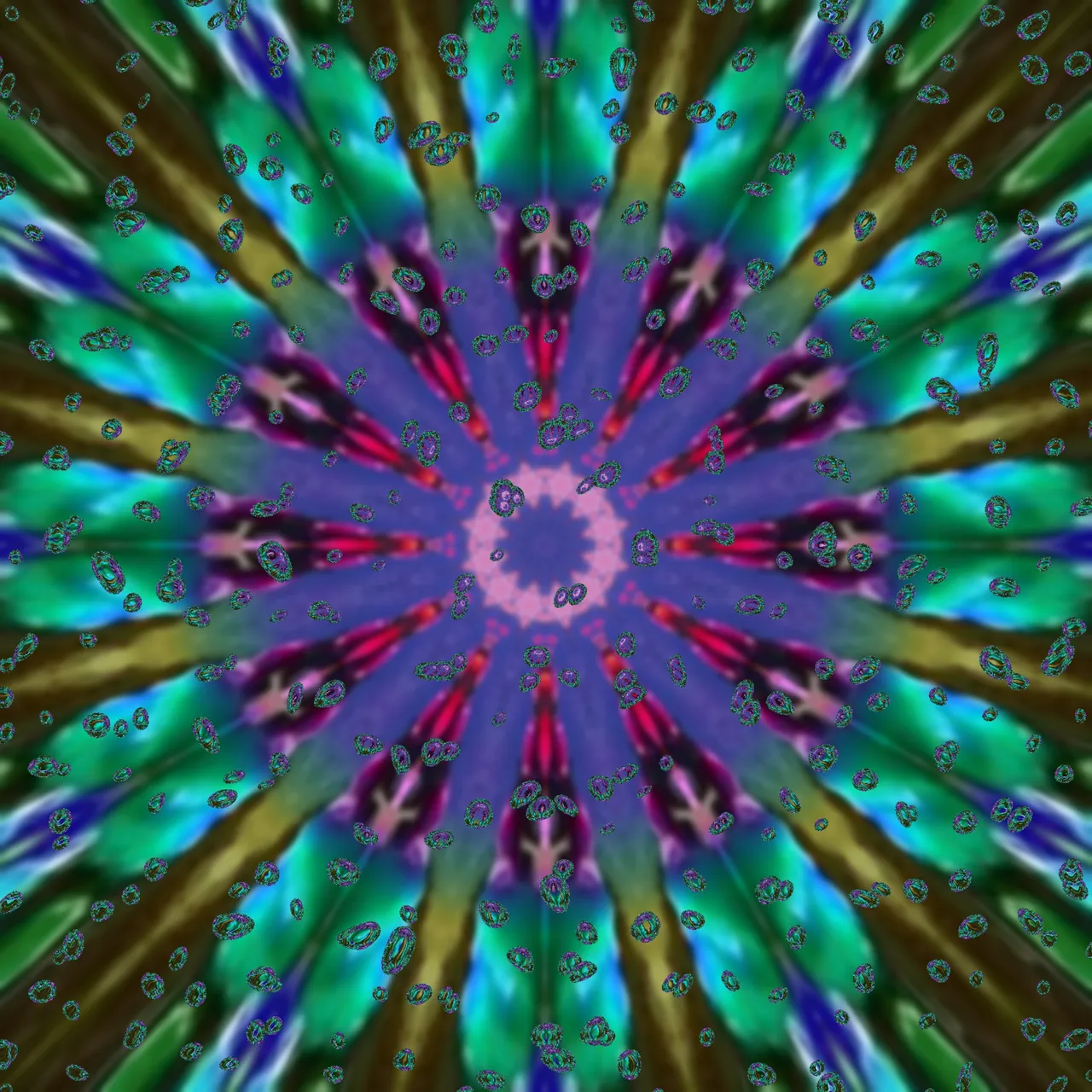 image3A2486_mirror86.jpg