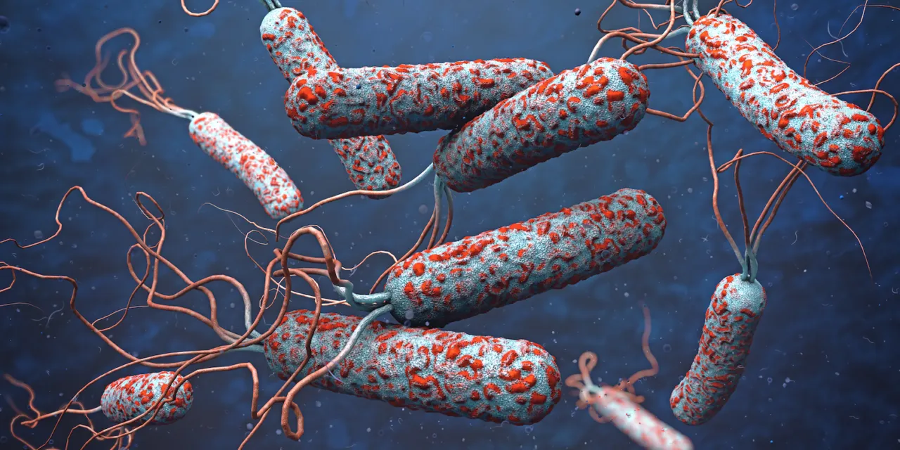 Cholera-big-1280x640.png