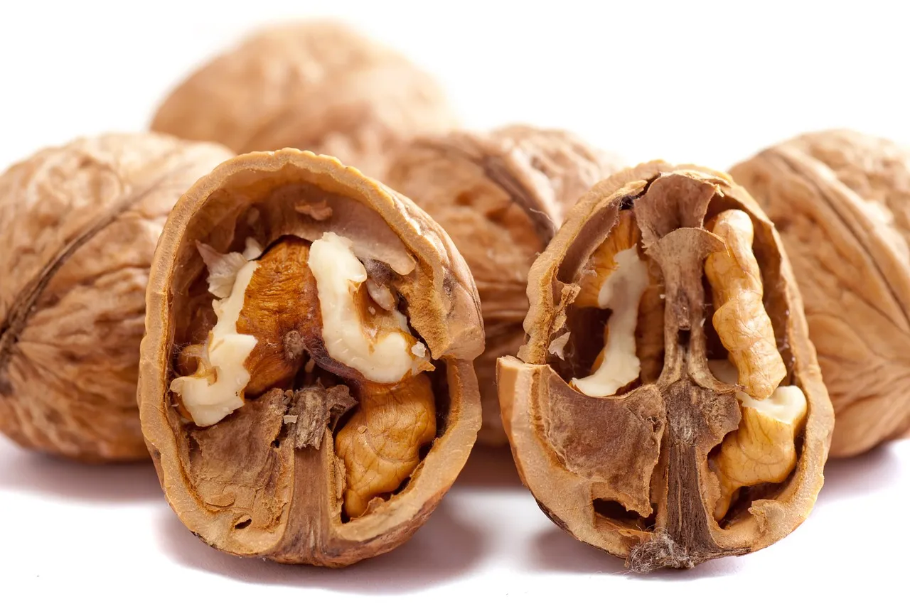 walnuts-2312506_1280.jpg