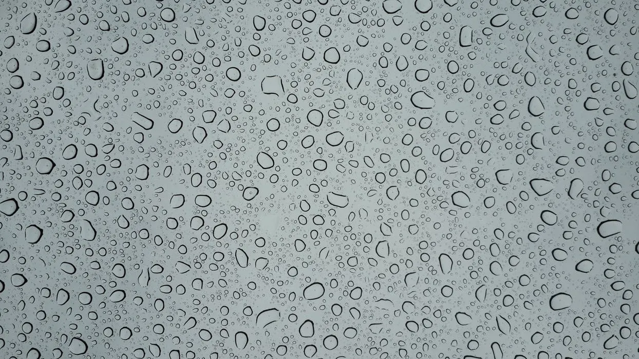 pexels-photo-268883.jpeg