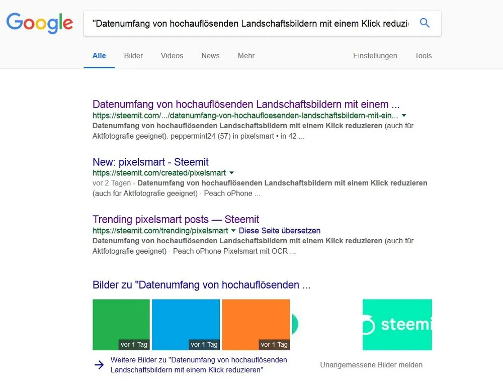 google-bildreduktion.JPG