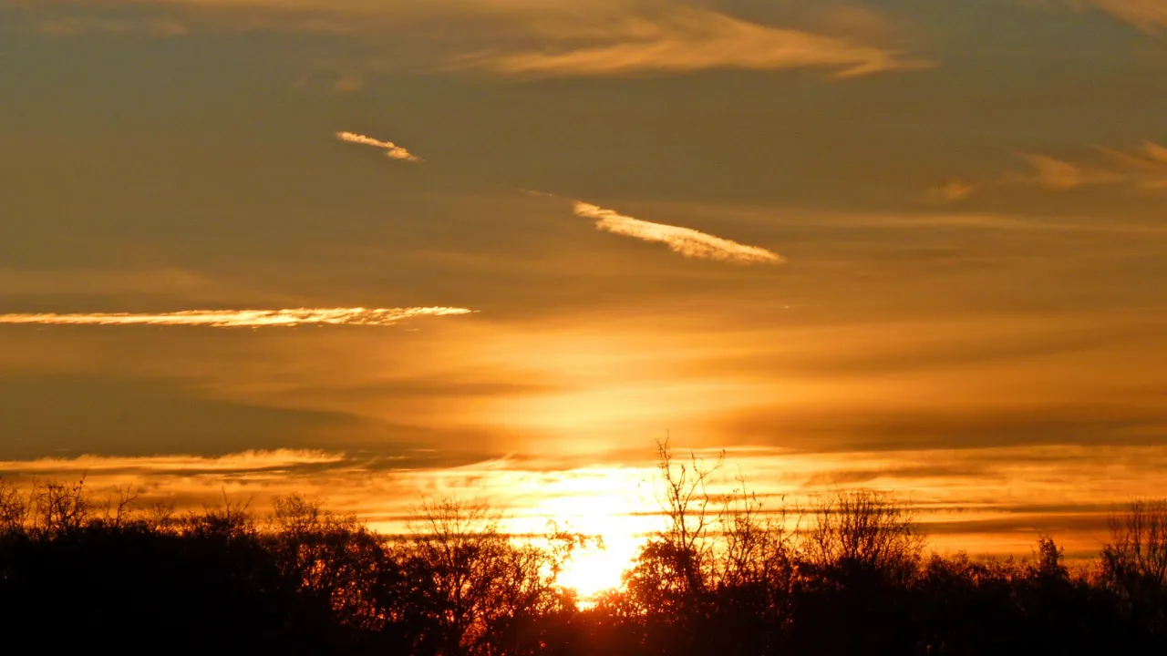 20190418_204902_0000.png