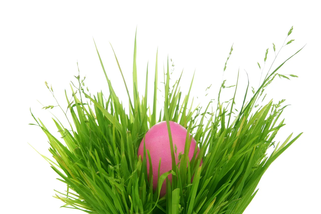 canstockphoto7882966.jpg