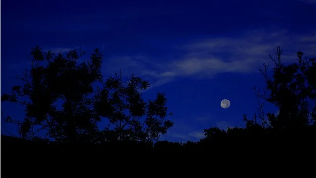 full-moon-735509_640.jpg