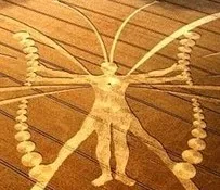 crop-circle avatar.jpg