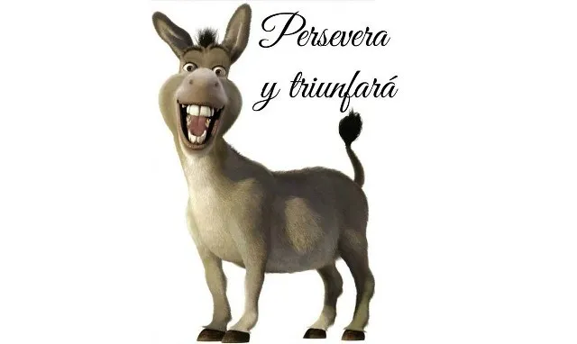 persevera-burro-asno.jpg