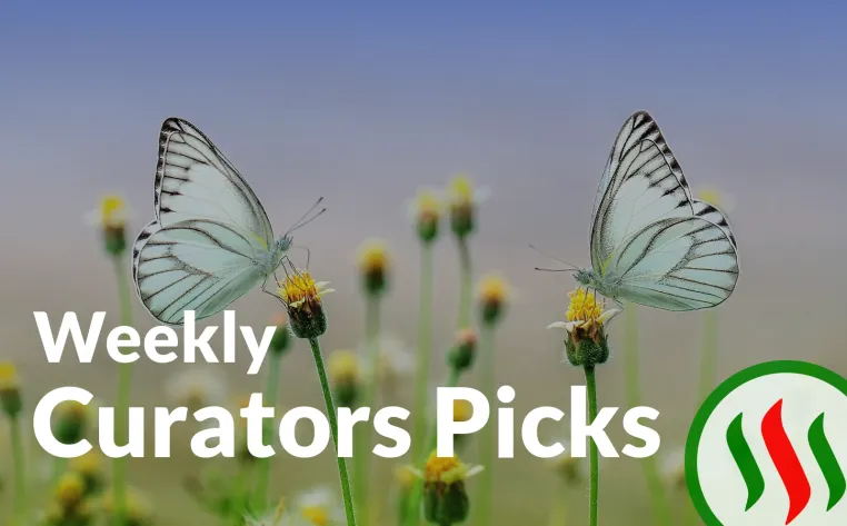 curators-picks (4).png