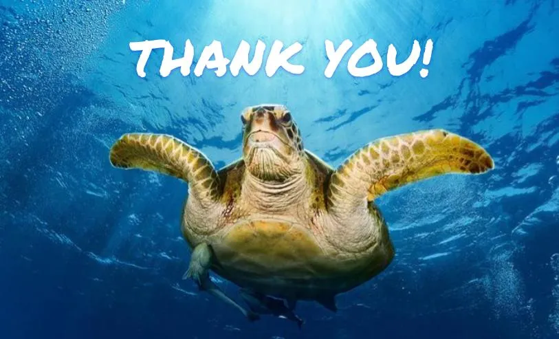 thank you turtle.jpg