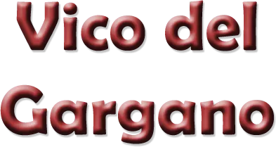 vico del gargano.png