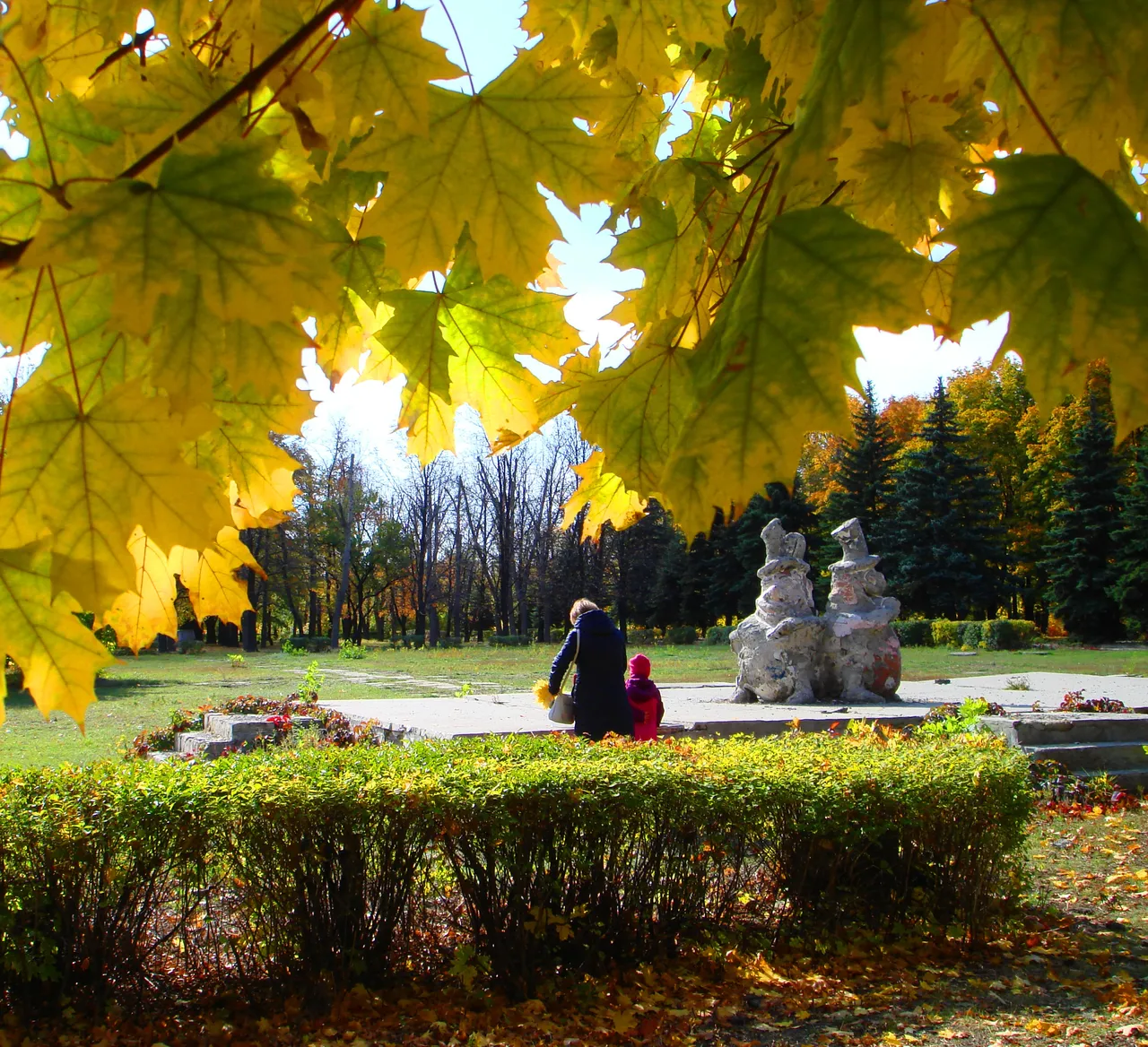 DSC01750-77777777777.jpg