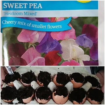 More Gardening 3.jpg