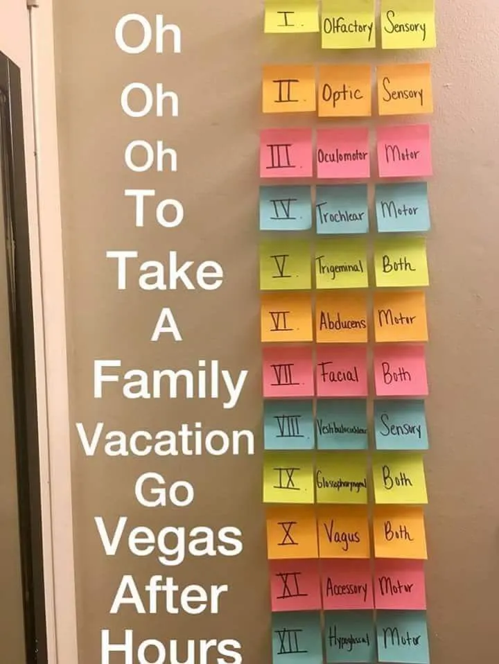 FB_IMG_1534338800426.jpg