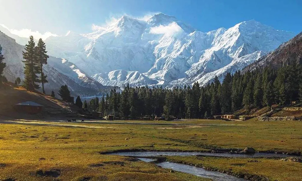 fairy-meadows-trek-1.jpg