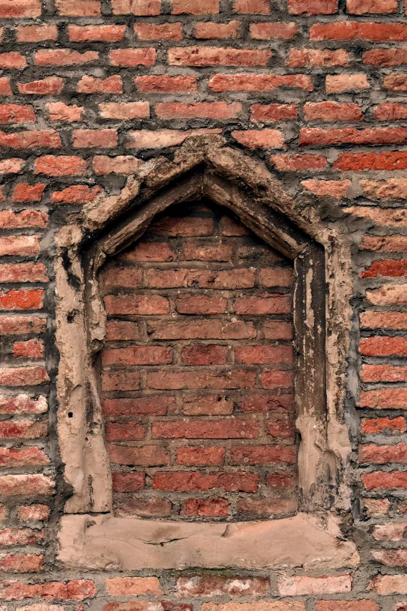 20200825_101554_0000.png