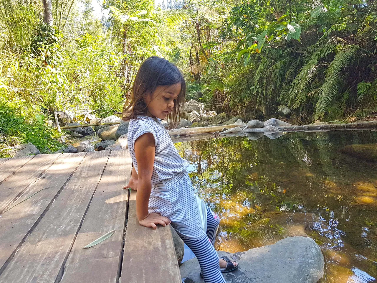 Natural Stream at the backyard