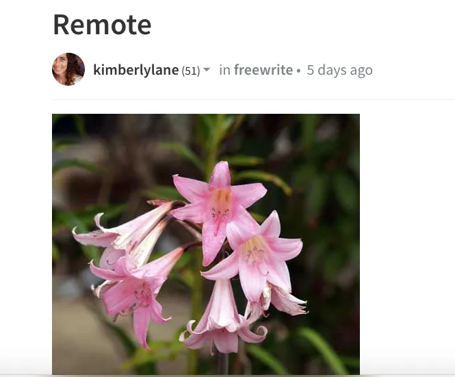 Screen Shot 20181007 at 3.14.48 PM.png
