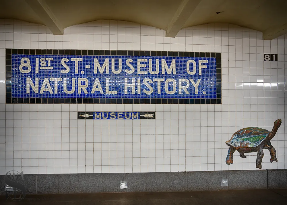 1 1 81st Street Subway Station.jpg