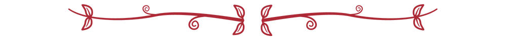 childseeker_s_divider_v1.png