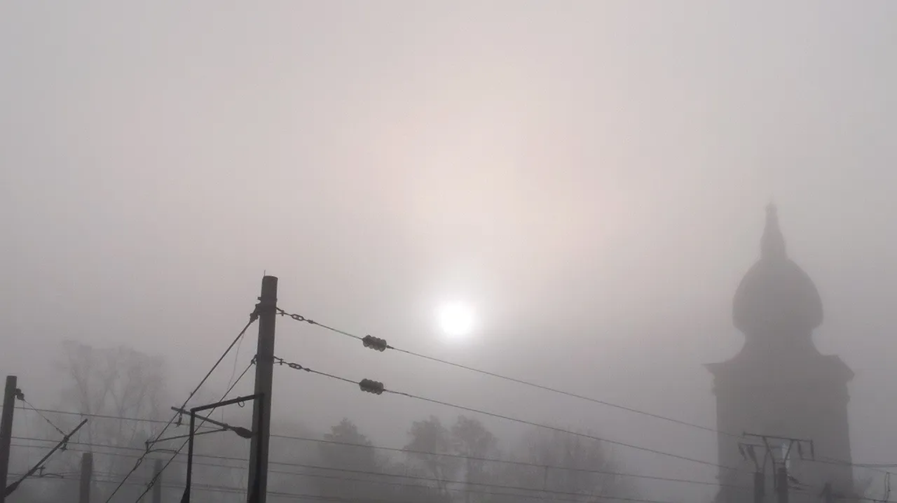 wp_20151213_09_30_39_pro.jpg