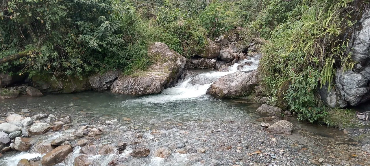 img_0.048250692013642286.jpg