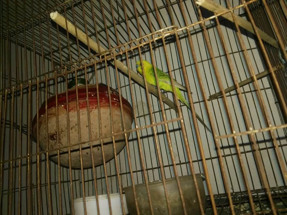 received_584182248923059.jpeg