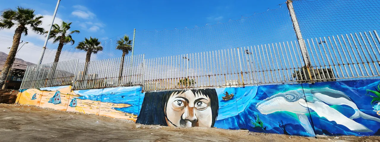 antofagasta-streetart-064.jpg