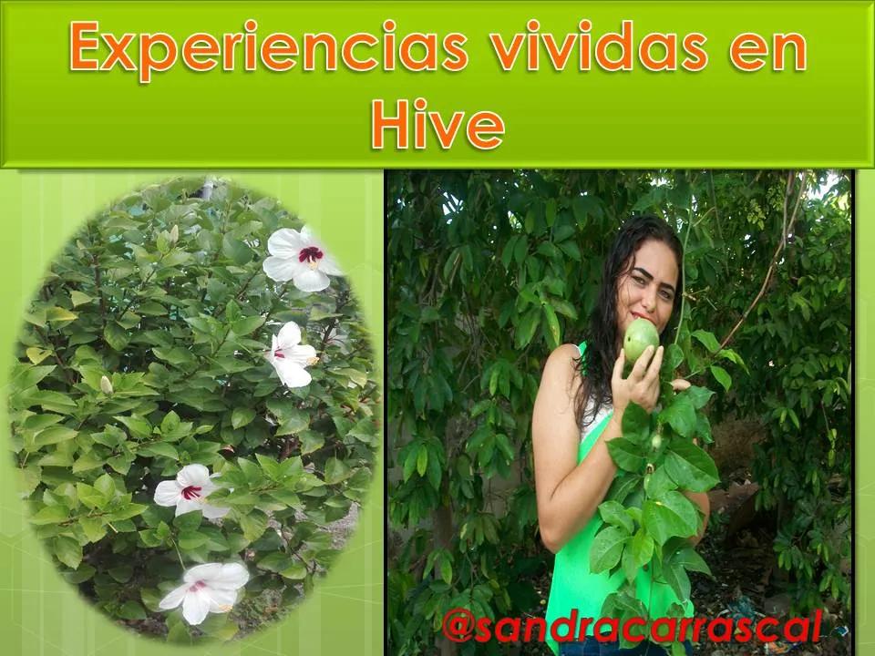 Presentación1 hive.jpg