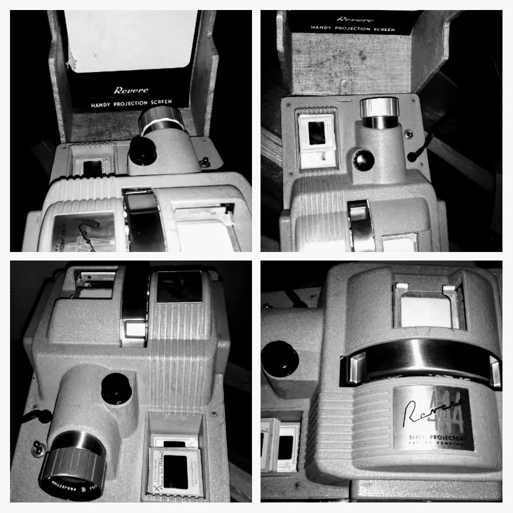 20200730_202227-COLLAGE_2.jpg
