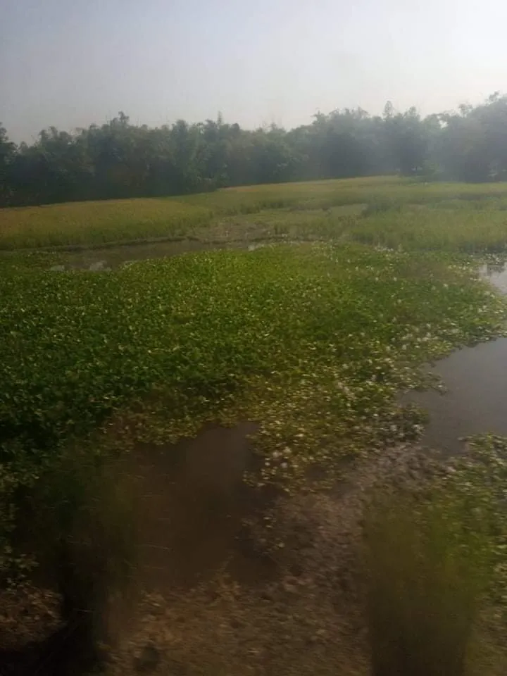 received_583454802890032.jpeg