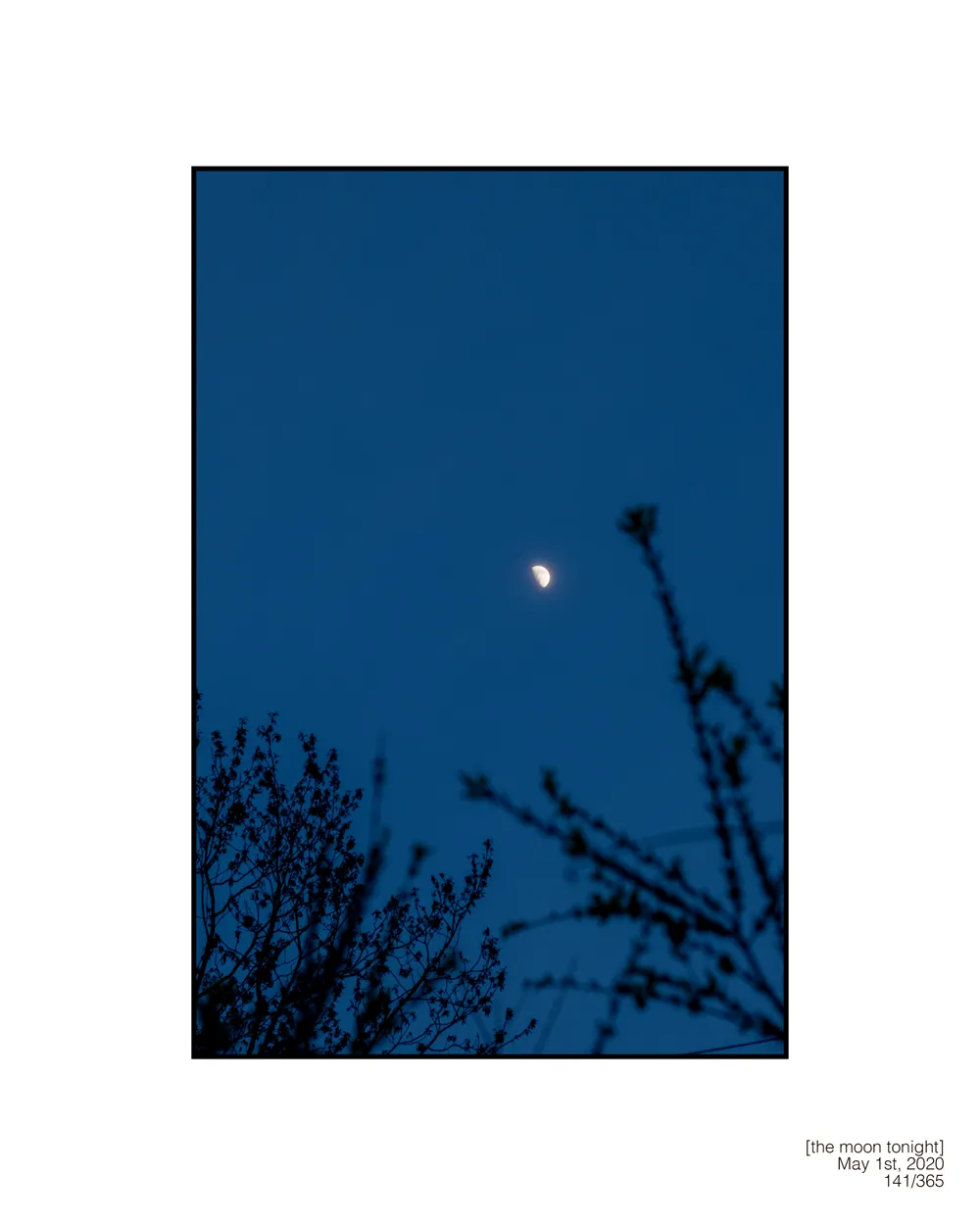5-1-20-[the-moon-tonight].png