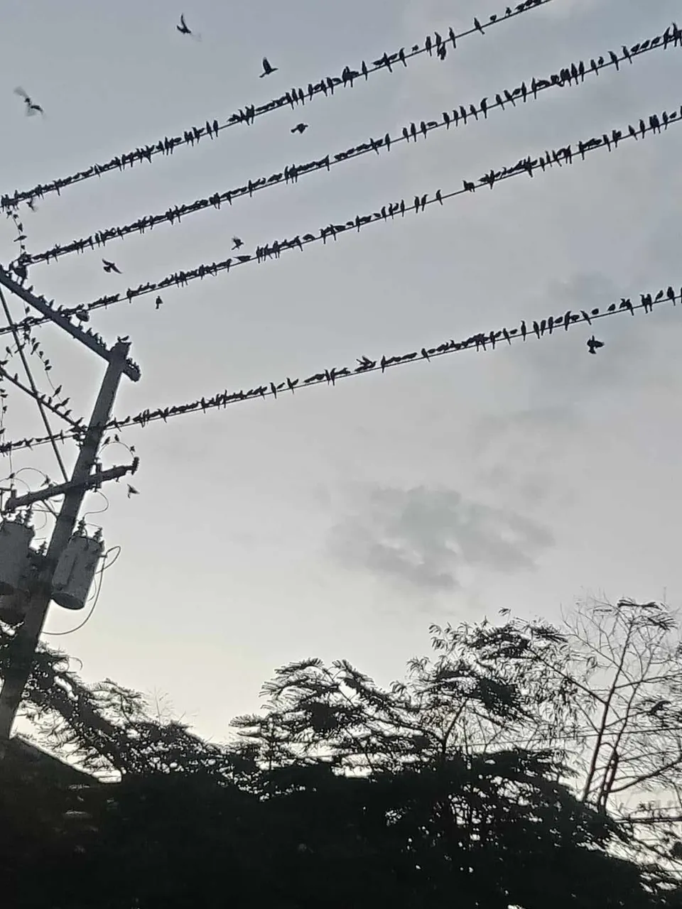 received_281246317867057.jpeg