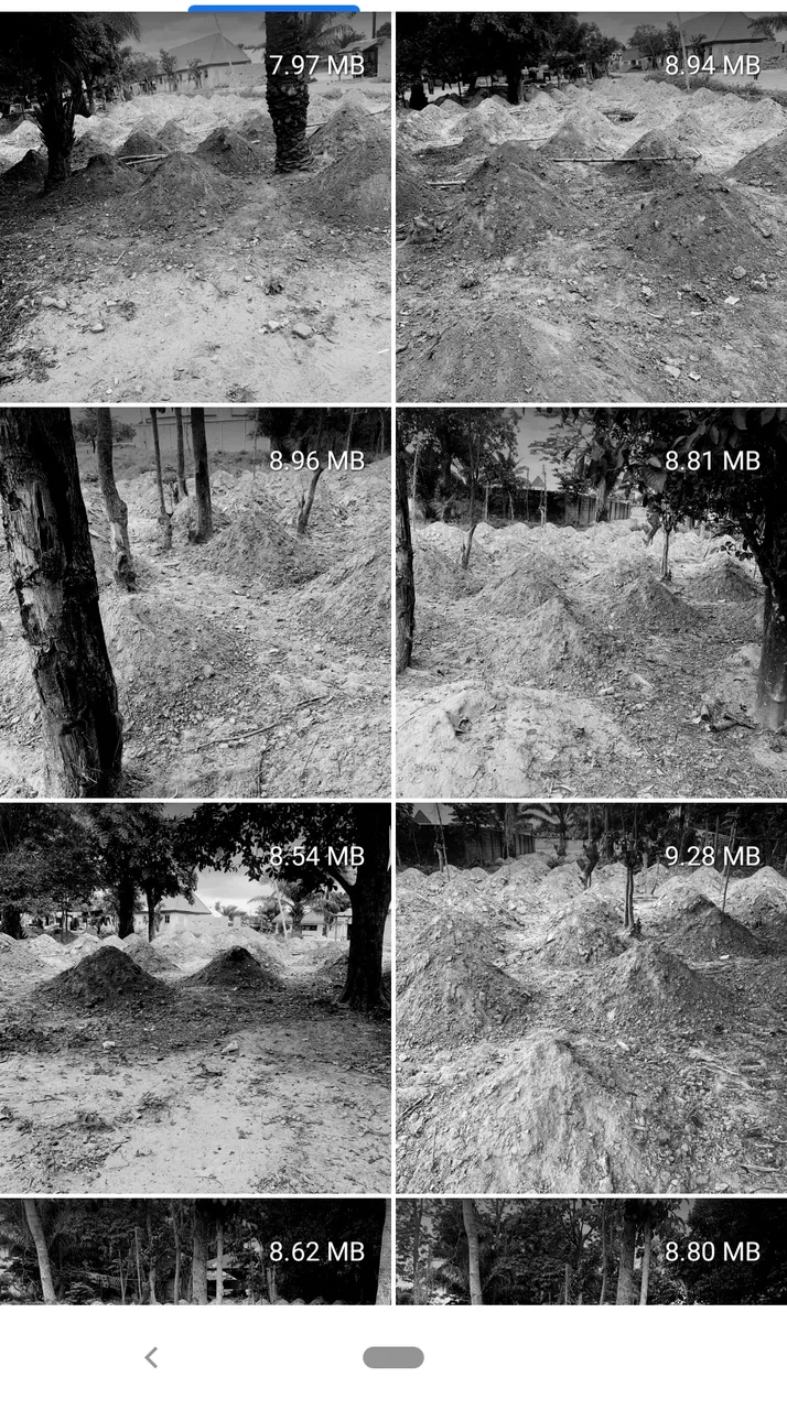 How to Easily Reduce the MB Size of Images on Your Phone Without Hu...