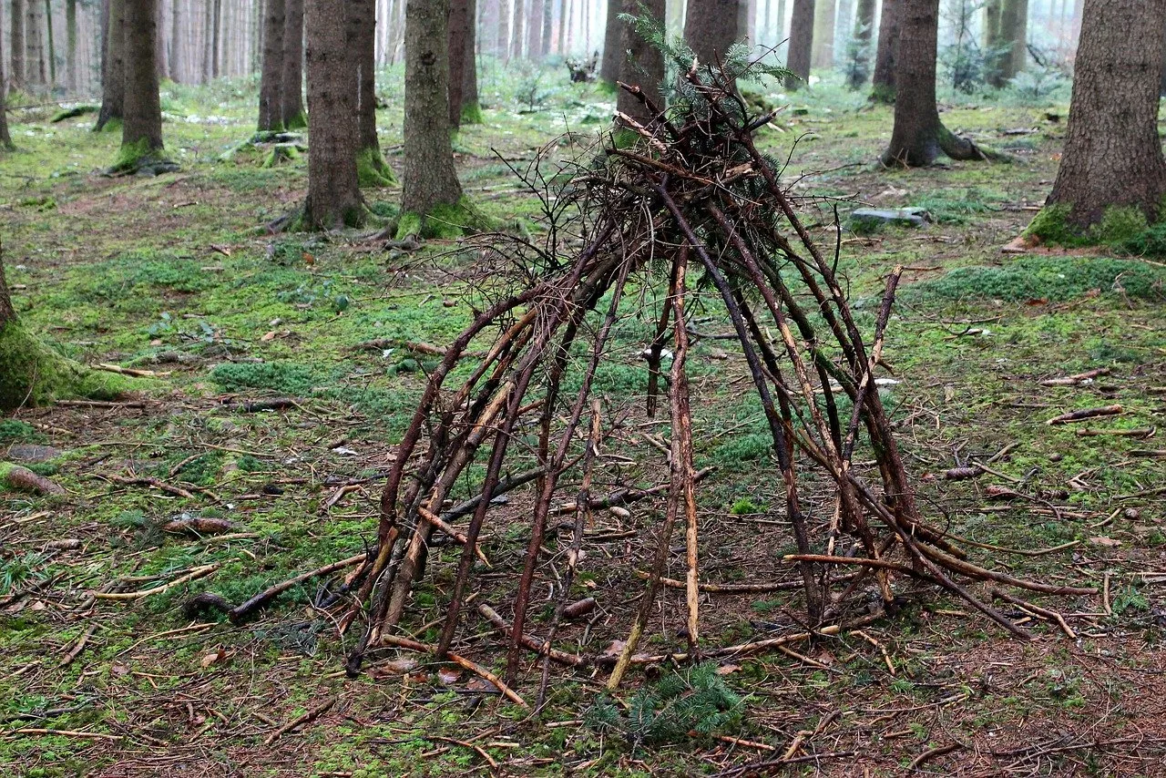 shamanism-g878e514f7_1280.jpg